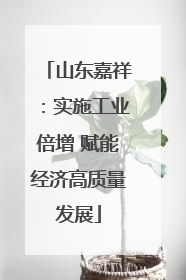 山东嘉祥：实施工业倍增 赋能经济高质量发展