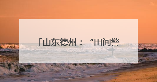山东德州：“田间警务”为丰收保驾护航