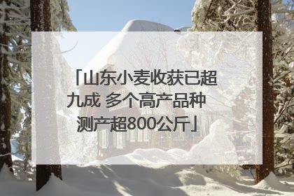 山东小麦收获已超九成 多个高产品种测产超800公斤