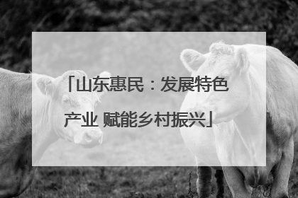 山东惠民：发展特色产业 赋能乡村振兴