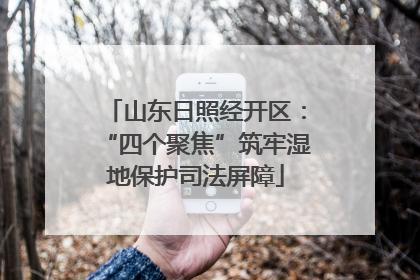 山东日照经开区：“四个聚焦”筑牢湿地保护司法屏障