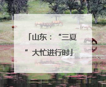 山东：“三夏”大忙进行时