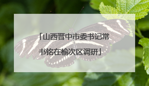 山西晋中市委书记常书铭在榆次区调研