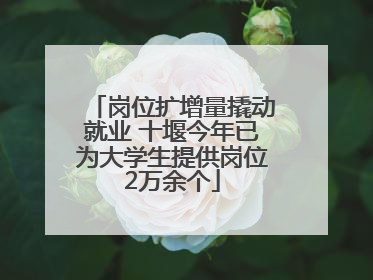 岗位扩增量撬动就业 十堰今年已为大学生提供岗位2万余个