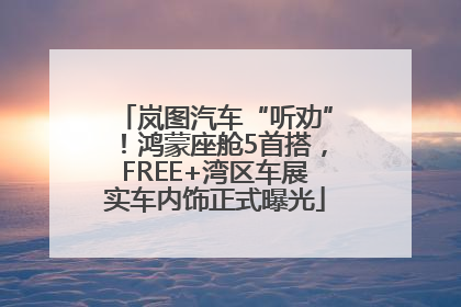 岚图汽车“听劝”！鸿蒙座舱5首搭，FREE+湾区车展实车内饰正式曝光
