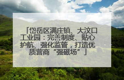 岱岳区满庄镇、大汶口工业园：完善制度、贴心护航、强化监管，打造优质营商“强磁场”