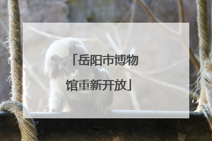 岳阳市博物馆重新开放
