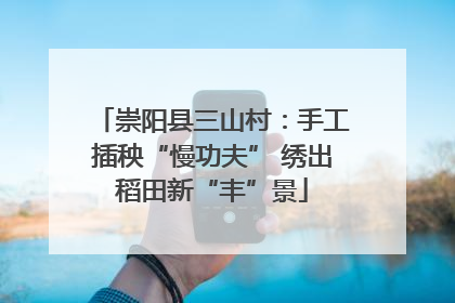 崇阳县三山村：手工插秧“慢功夫” 绣出稻田新“丰”景