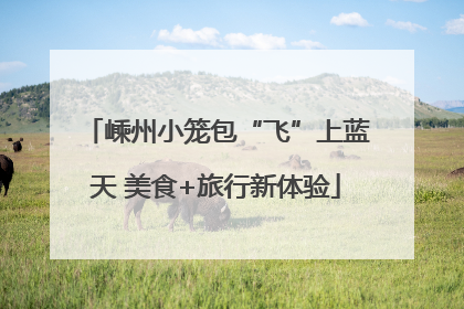 嵊州小笼包“飞”上蓝天 美食+旅行新体验