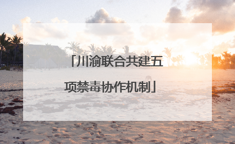 川渝联合共建五项禁毒协作机制