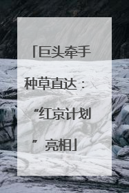 巨头牵手种草直达：“红京计划”亮相