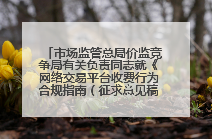 市场监管总局价监竞争局有关负责同志就《网络交易平台收费行为合规指南（征求意见稿）》答记者问