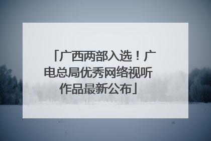广西两部入选！广电总局优秀网络视听作品最新公布