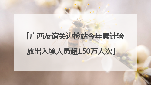 广西友谊关边检站今年累计验放出入境人员超150万人次
