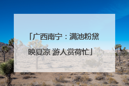 广西南宁：满池粉黛映夏凉 游人赏荷忙