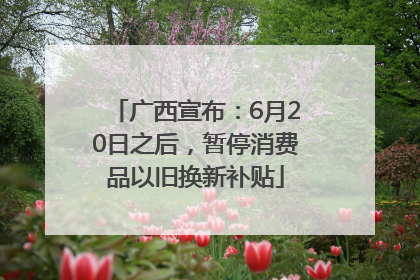广西宣布：6月20日之后，暂停消费品以旧换新补贴