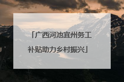 广西河池宜州务工补贴助力乡村振兴
