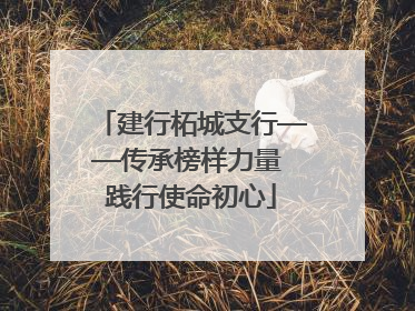 建行柘城支行——传承榜样力量 践行使命初心