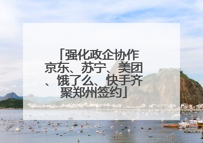 强化政企协作 京东、苏宁、美团、饿了么、快手齐聚郑州签约