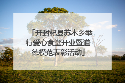 开封杞县苏木乡举行爱心食堂开业暨道德模范表彰活动