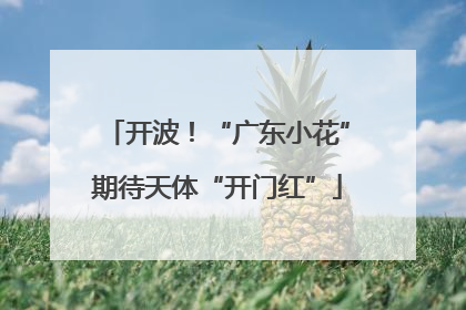 开波！“广东小花”期待天体“开门红”