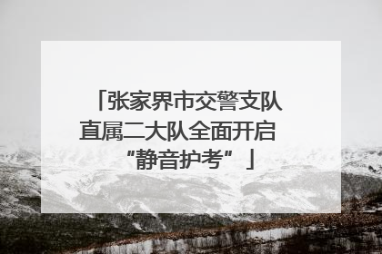 张家界市交警支队直属二大队全面开启“静音护考”
