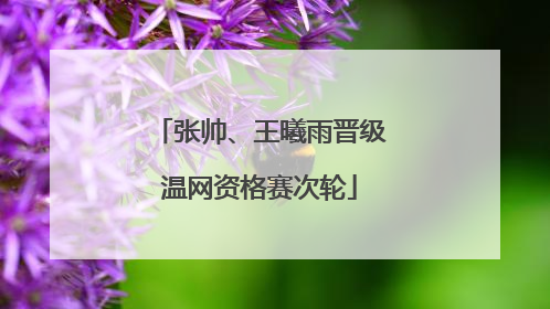 张帅、王曦雨晋级温网资格赛次轮