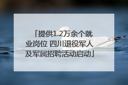 提供1.2万余个就业岗位 四川退役军人及军属招聘活动启动