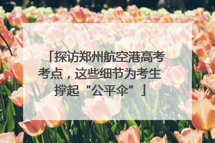 探访郑州航空港高考考点，这些细节为考生撑起“公平伞”
