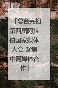 总台亮相第四届阿拉伯国家媒体大会 聚焦中阿媒体合作