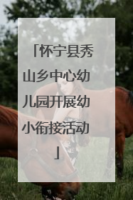 怀宁县秀山乡中心幼儿园开展幼小衔接活动