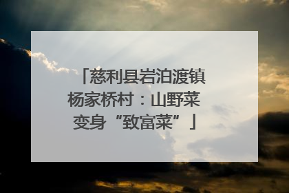 慈利县岩泊渡镇杨家桥村：山野菜变身“致富菜”