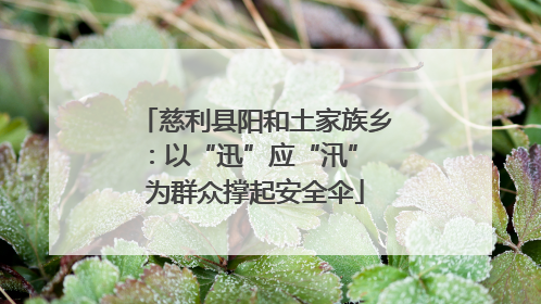 慈利县阳和土家族乡：以“迅”应“汛” 为群众撑起安全伞