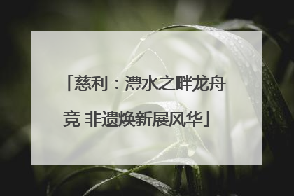 慈利：澧水之畔龙舟竞 非遗焕新展风华