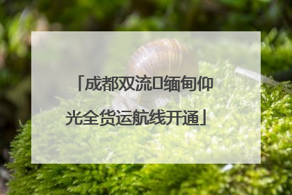 成都双流⇌缅甸仰光全货运航线开通