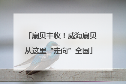 扇贝丰收！威海扇贝从这里“走向”全国