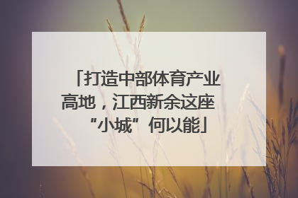 打造中部体育产业高地，江西新余这座“小城”何以能