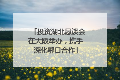 投资湖北恳谈会在大阪举办，携手深化鄂日合作