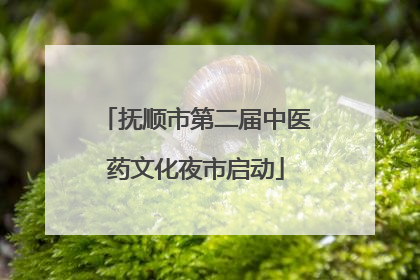 抚顺市第二届中医药文化夜市启动