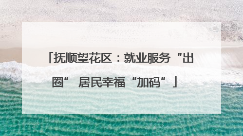 抚顺望花区：就业服务“出圈” 居民幸福“加码”