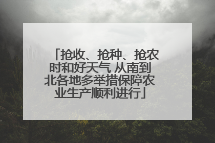 抢收、抢种、抢农时和好天气 从南到北各地多举措保障农业生产顺利进行