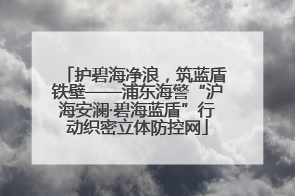 护碧海净浪，筑蓝盾铁壁——浦东海警“沪海安澜·碧海蓝盾”行动织密立体防控网