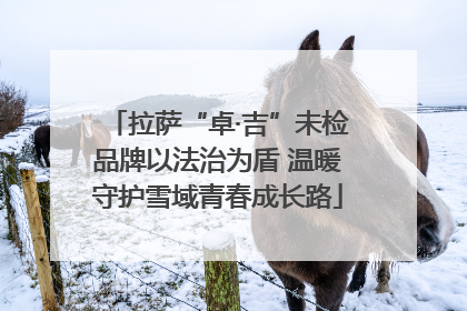 拉萨“卓·吉”未检品牌以法治为盾 温暖守护雪域青春成长路