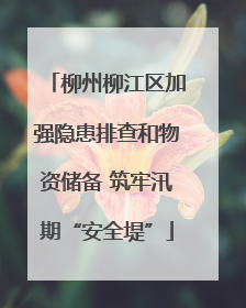 柳州柳江区加强隐患排查和物资储备 筑牢汛期“安全堤”