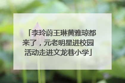 李玲蔚王琳黄雅琼都来了，元老明星进校园活动走进文龙巷小学