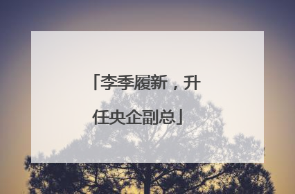 李季履新，升任央企副总