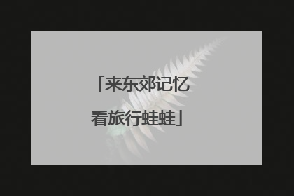 来东郊记忆 看旅行蛙蛙