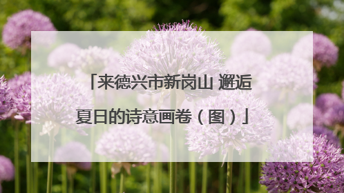 来德兴市新岗山 邂逅夏日的诗意画卷（图）