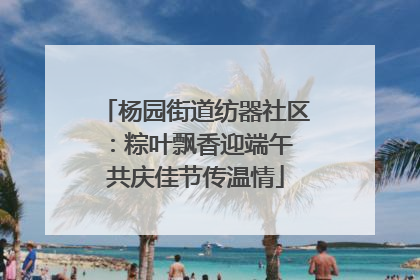 杨园街道纺器社区：粽叶飘香迎端午 共庆佳节传温情