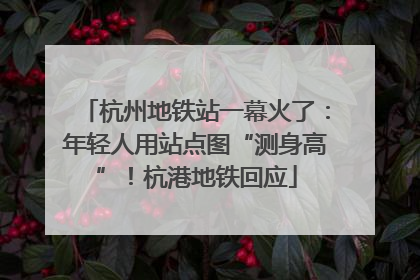杭州地铁站一幕火了：年轻人用站点图“测身高”！杭港地铁回应